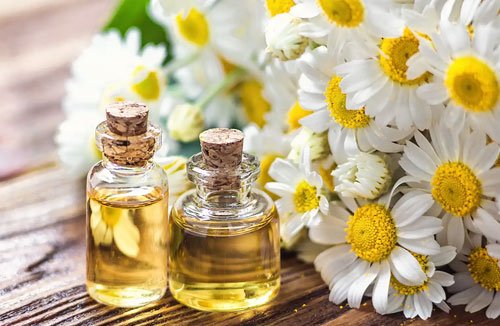 Chamomile Essential Oil