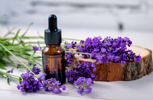 Lavender Essential Oil