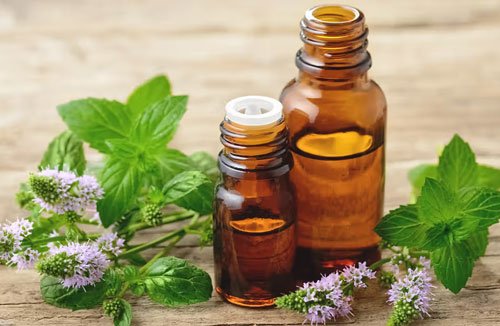 Peppermint Essential Oil